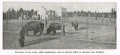 Bisons in de vrije ruimte 1900.jpg