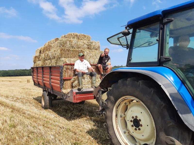 Bestand:2022 Binnenhalen oogst..jpg