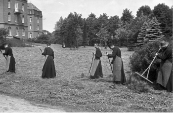 Collectie Kolkmeyer Jezuïeten hooien 2.jpg