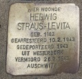 Hedwig Straus-Levita Stolperstein.jpg