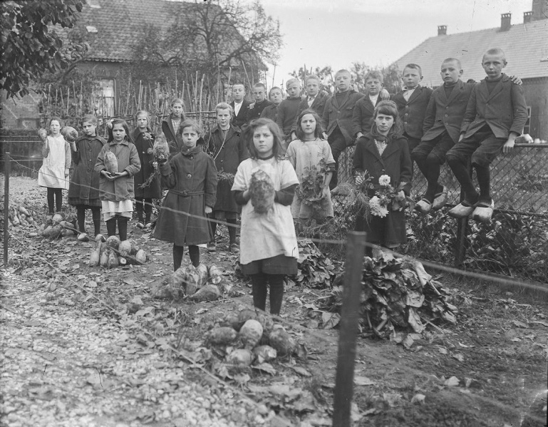 Bestand:Hondtongs proeftuin.jpg