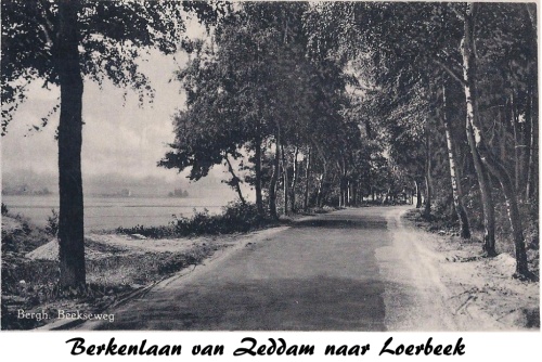 LoerBeek166 Berkenlaan1b Tolhuis zicht op Beek.jpg